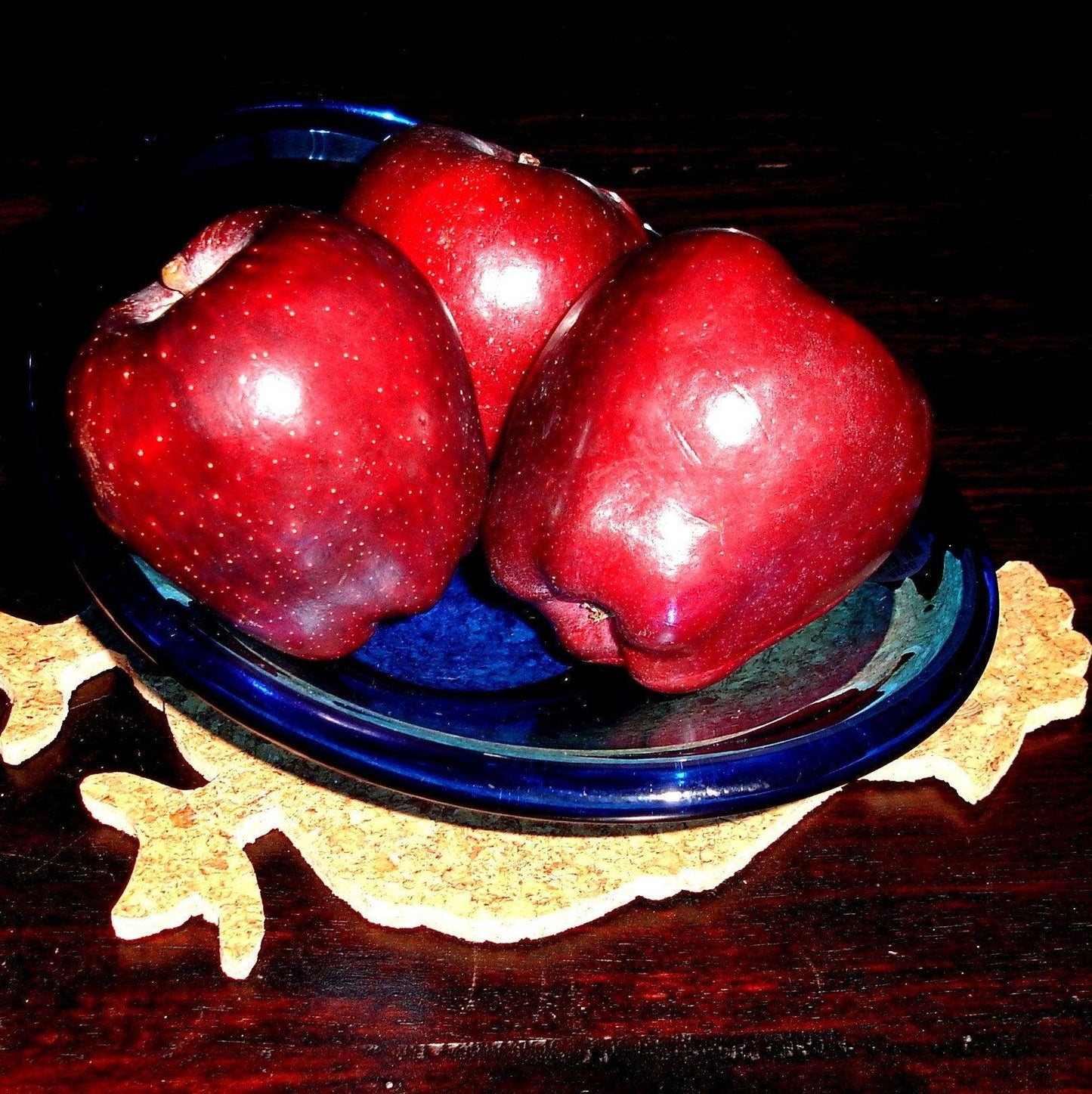 Smooching Hens Cork Trivet Set-Wares-in2ition mercantile