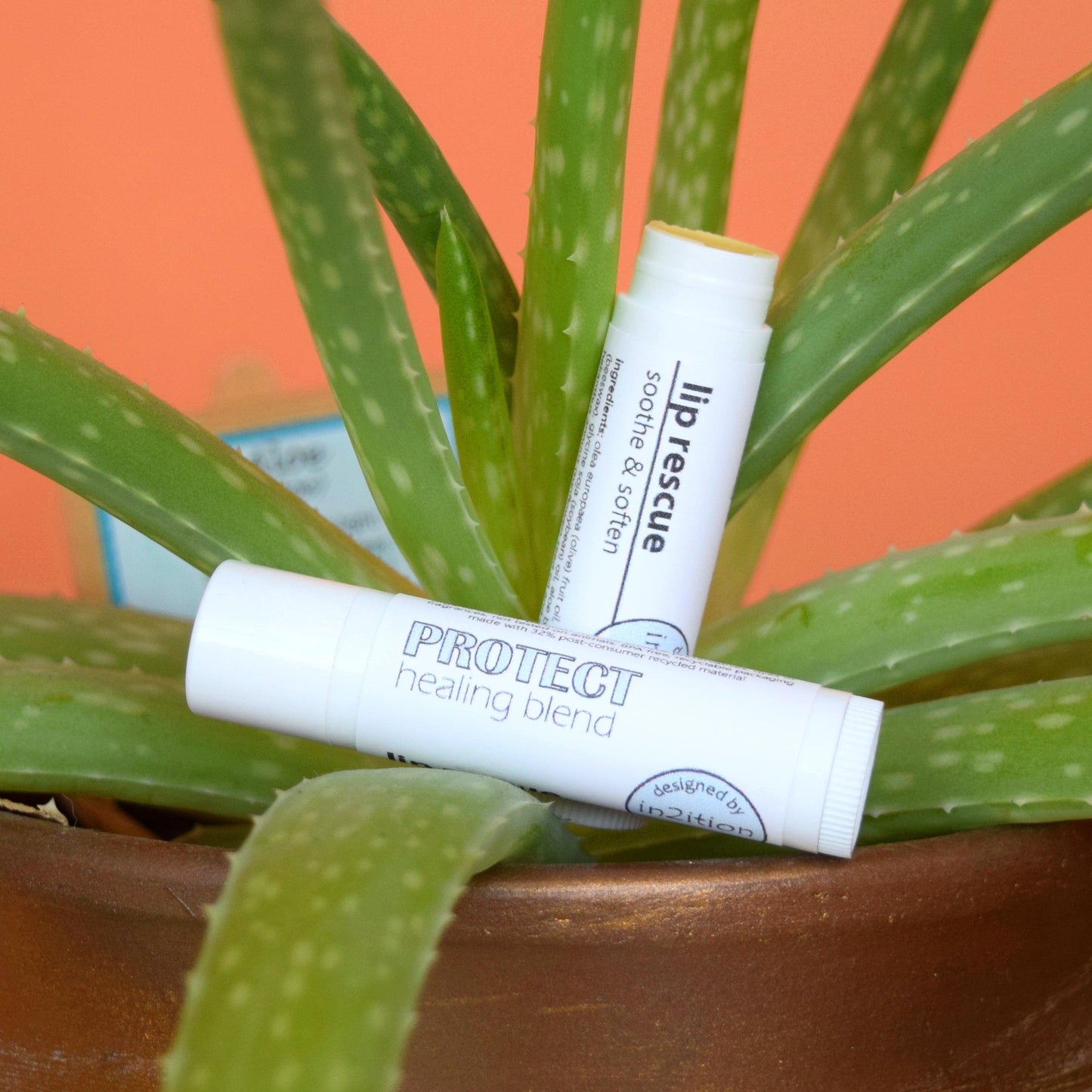 Protect Lip Rescue-Lip-in2ition mercantile