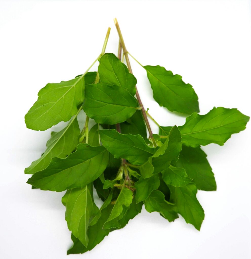 Detroit Thai Basil Vinegar