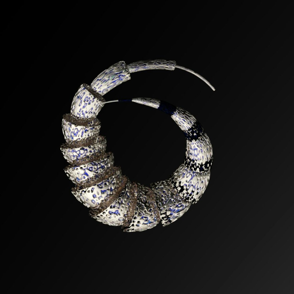 Textured Silver Hoops