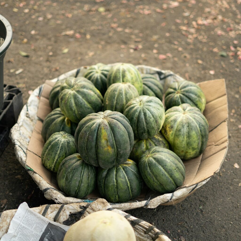 Small Round Loofah