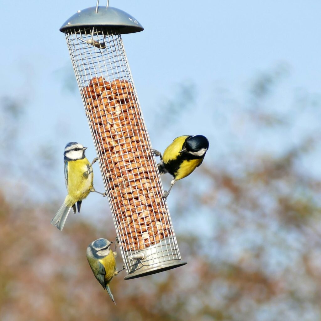 Green Leaf Metal Bird Feeder