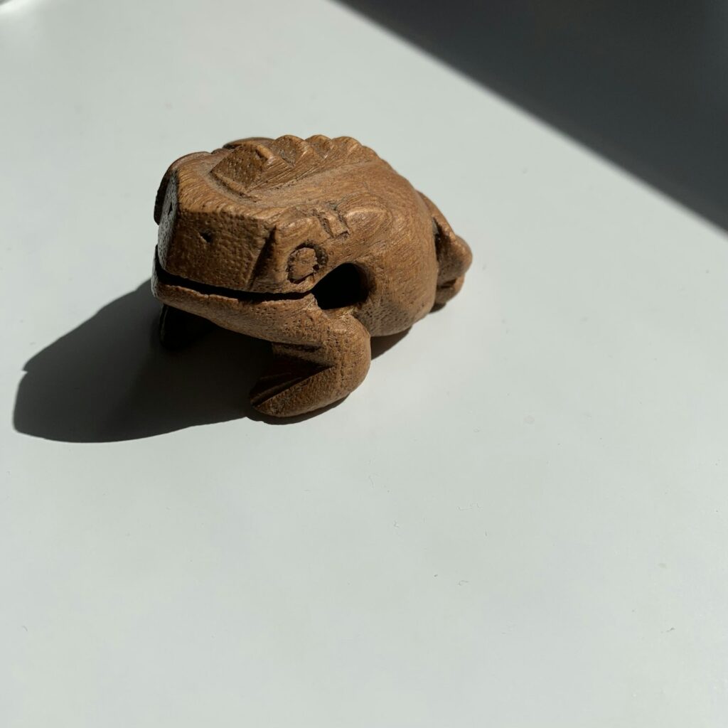 Frog Hide A Key