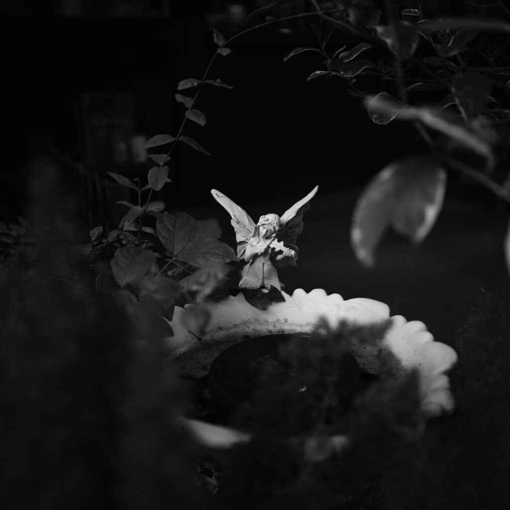 Fairy Dolls