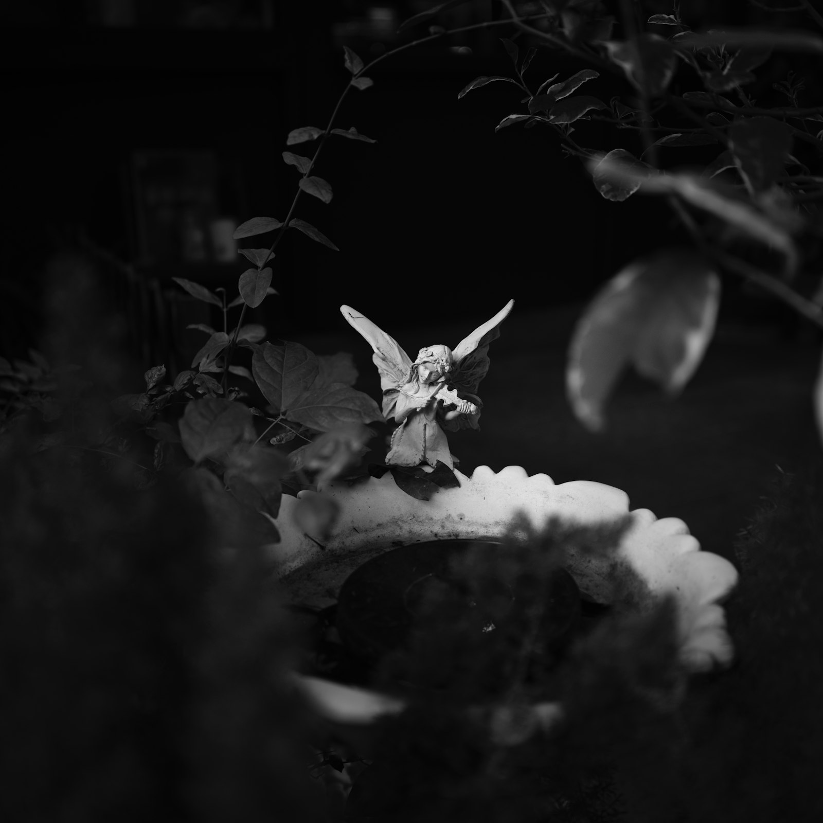 Fairy Dolls