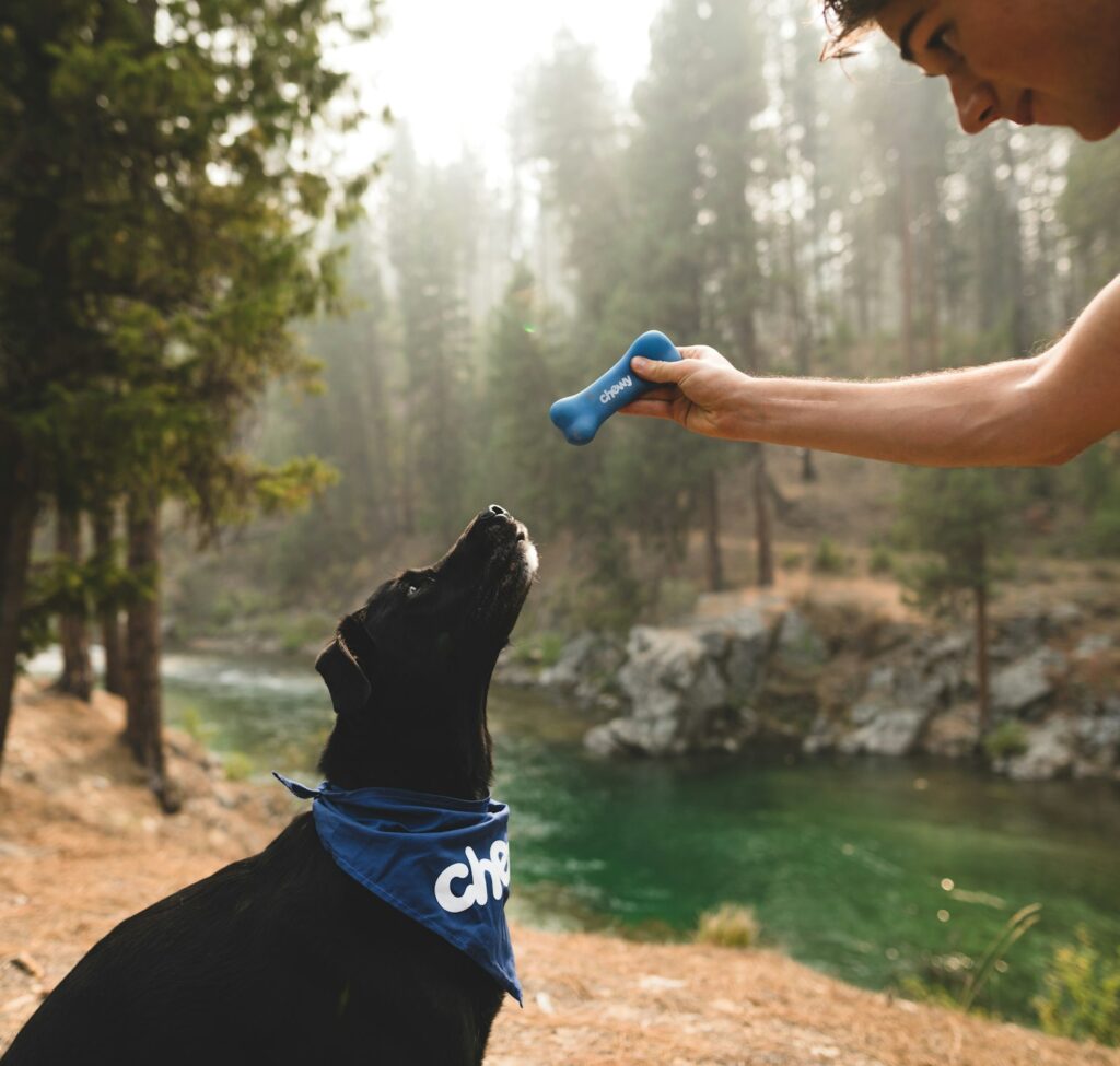 Ruff Receiver Doggie Bandana