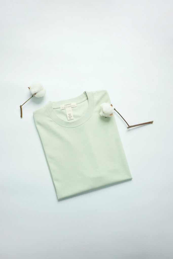 Women’s Premium Organic T-Shirt
