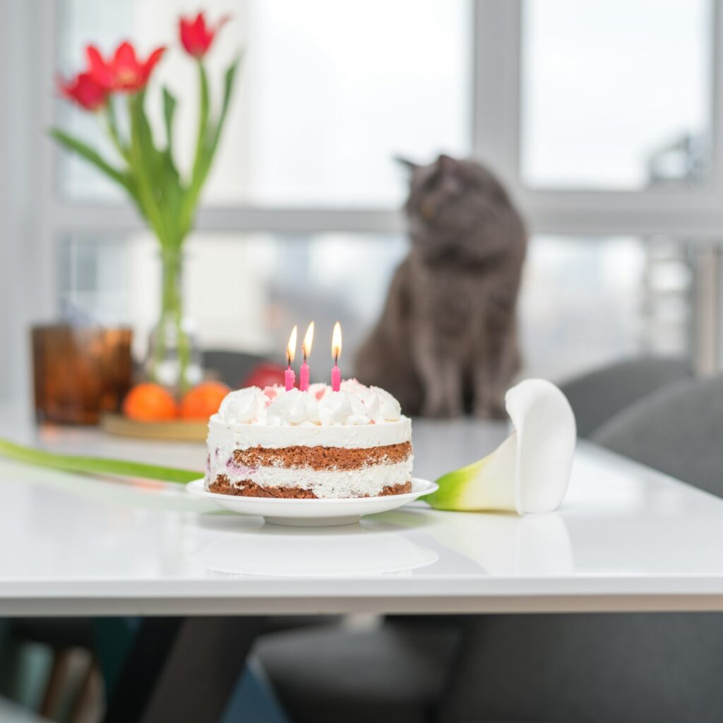 Pet Candle