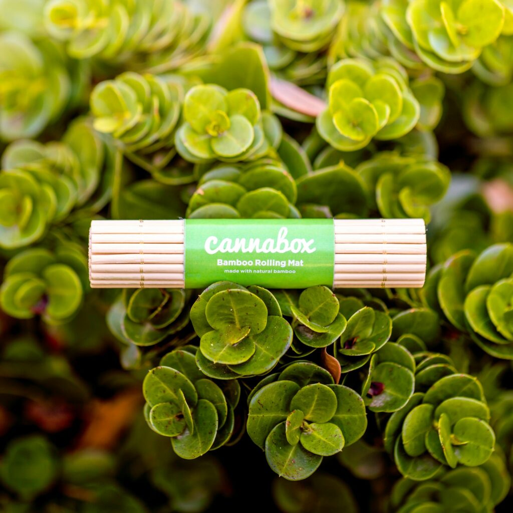 Bamboo Ruler